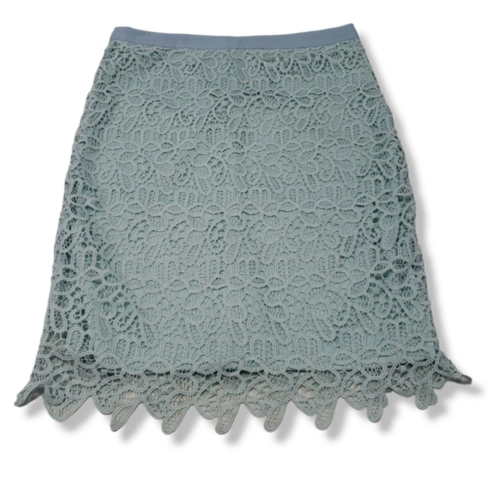Potter's Pot Size Large Womens Lace Skirt Floral Paisley Pencil Skirt Lined Blue